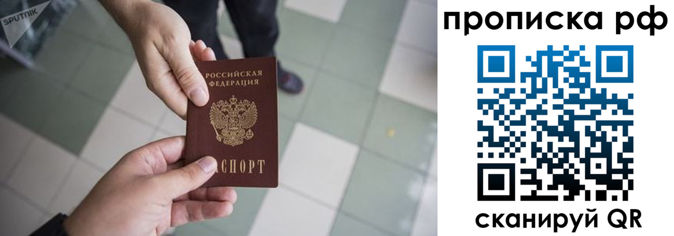 прописка гарантия в Зеленоградске